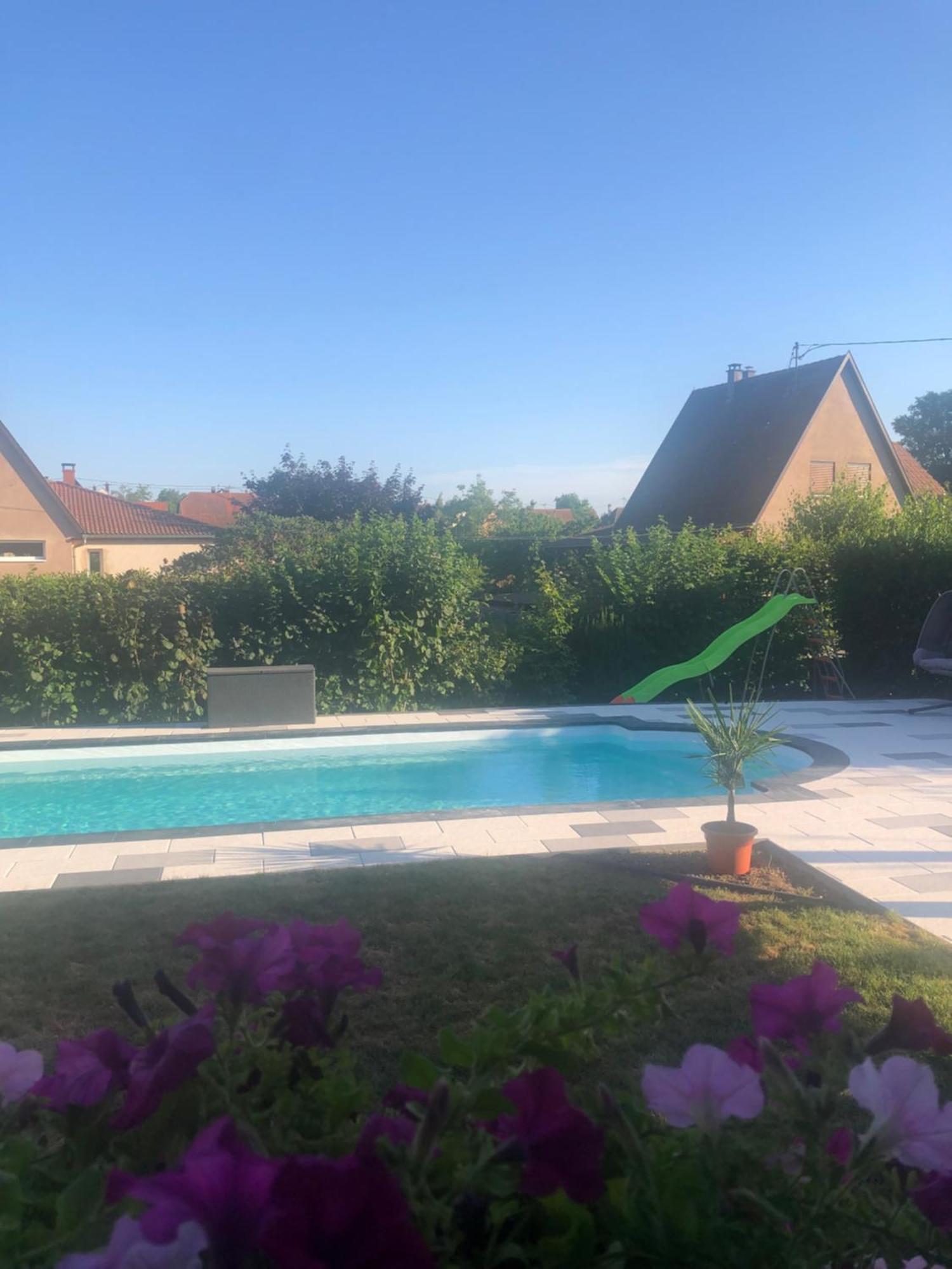 Le Gite Des Cigogneaux Schwenheim Exteriör bild